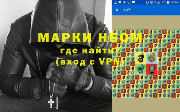 сатива Алзамай