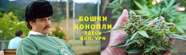 гидра Алексеевка