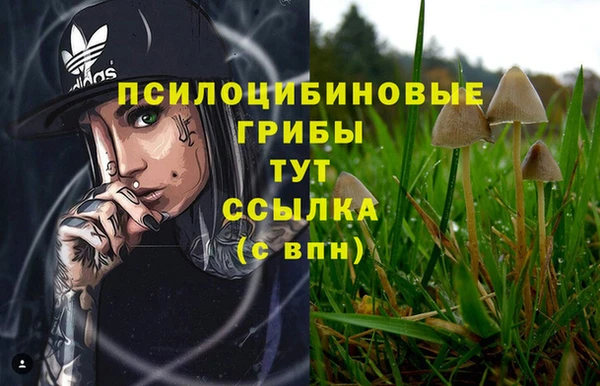 прущий лед Алексин