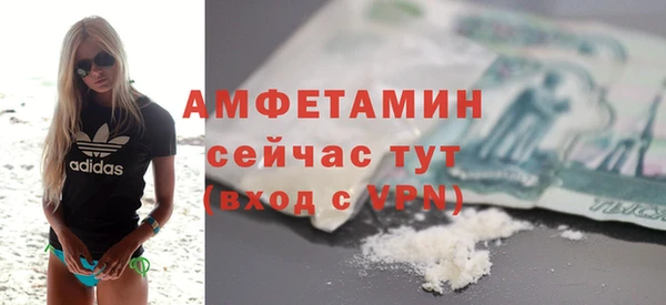 сатива Алзамай