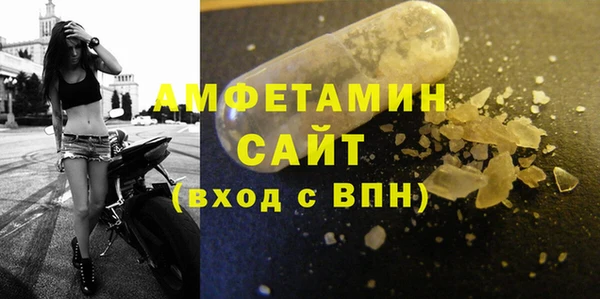 гидра Алексеевка