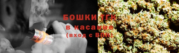 гидра Алексеевка