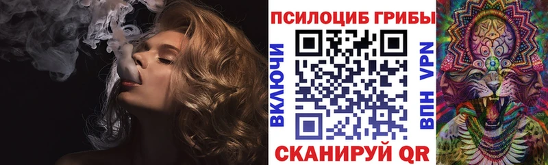 наркота  Кизел  Псилоцибиновые грибы мицелий 